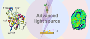 Ultra High Spatiotemporal Resolution Dynamics of Biomolecules